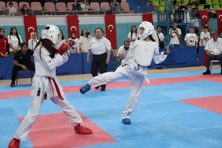 ANALİG Karate 1. Etap 7. Grup Müsabakaları Tamamlandı